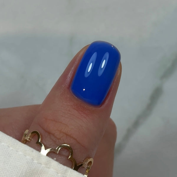 BBIO Żel budujący w butelce "Didier Lab", Rich Blue, 15ml
