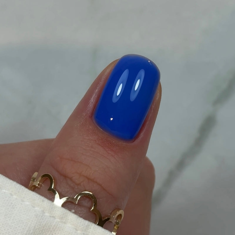 BBIO Żel budujący w butelce "Didier Lab", Rich Blue, 15ml