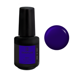 BBIO Żel budujący w butelce "Didier Lab", Blue Berry, 15ml
